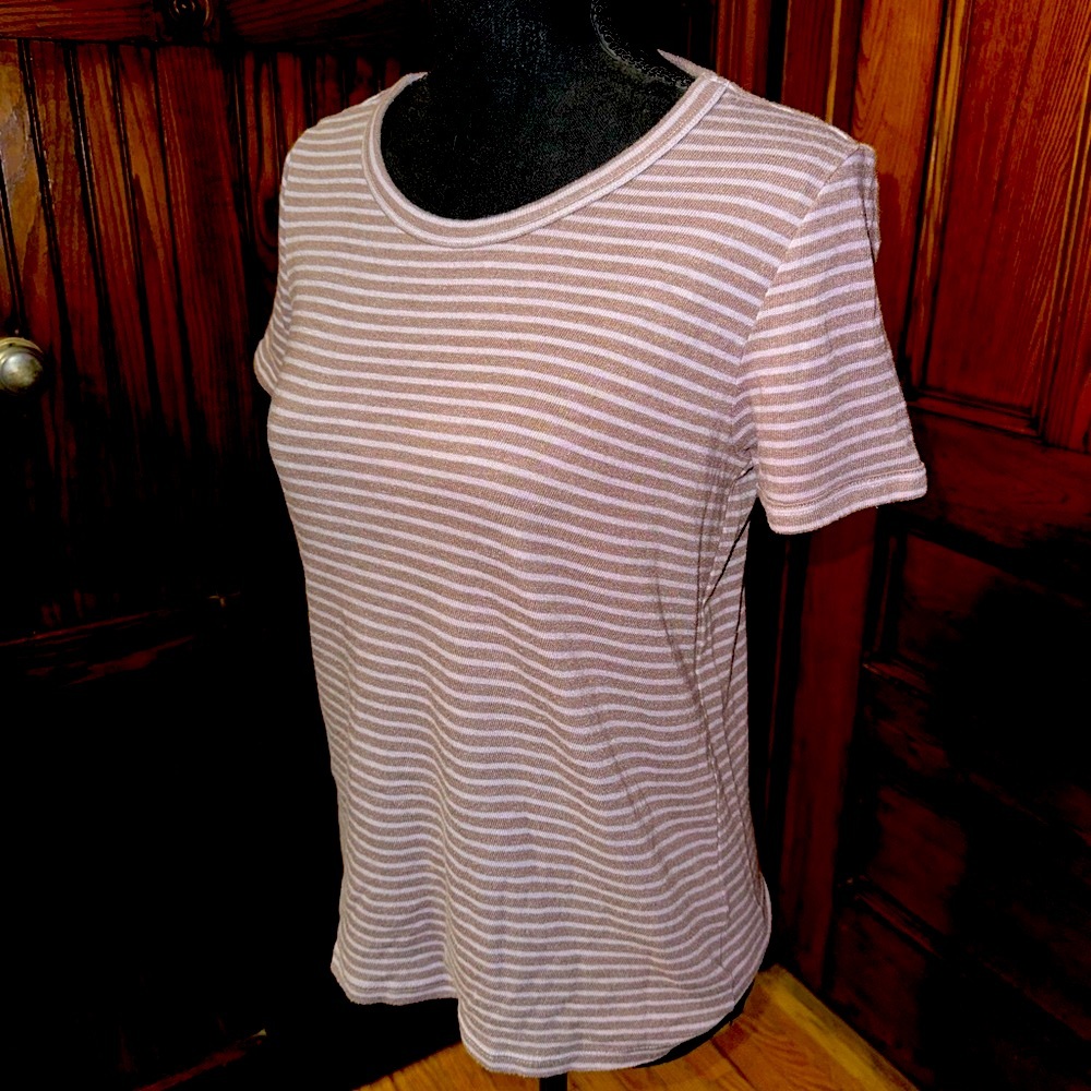 American Eagle Outfitters White and Gray Fitted Short Sleeve T-Shirt